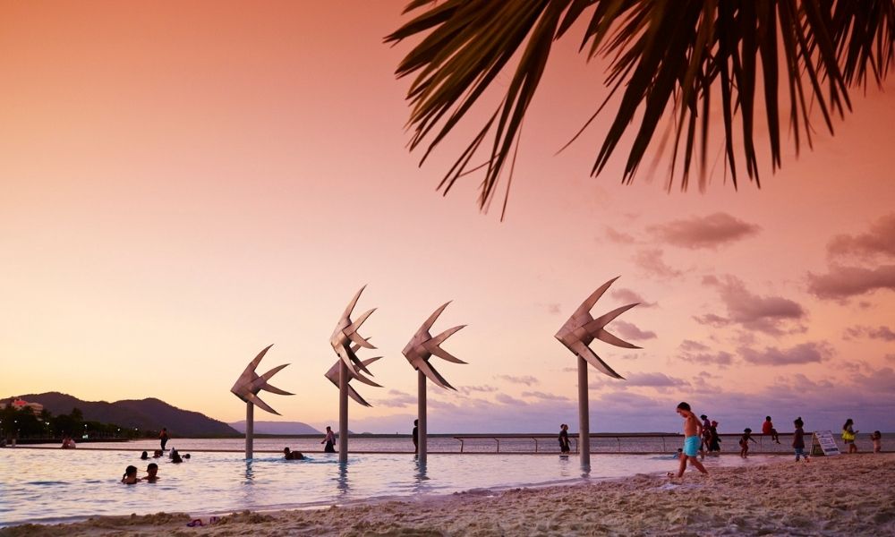 people swimming in the Cairns Lagoon during a pink sunset