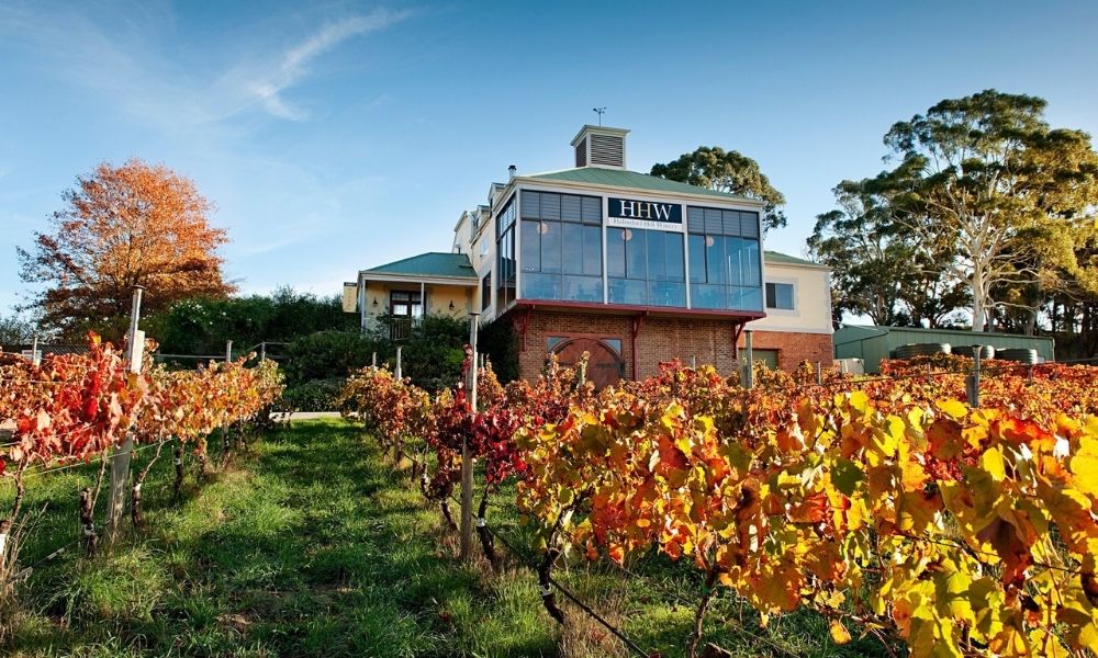 Exterior photo of Hahndorf Hills Winery Overlooking Vineyard