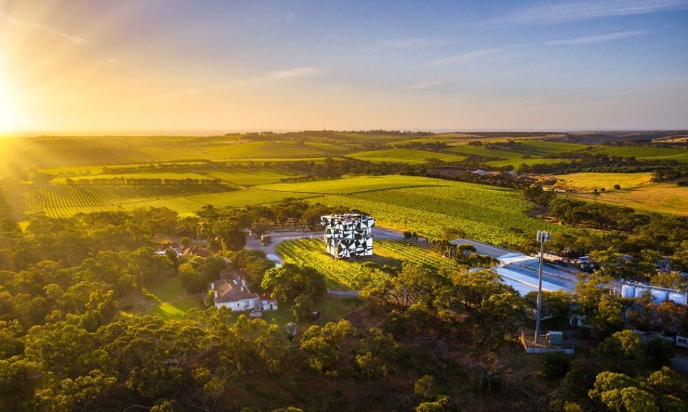 a rubix cube shaped building in McLaren Vale at Darenberg Winery