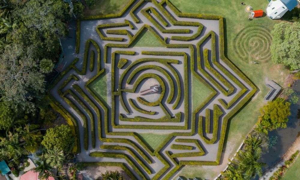 Aerial shot of the living hedge maze at Bellingham Maze Sunshine Coast