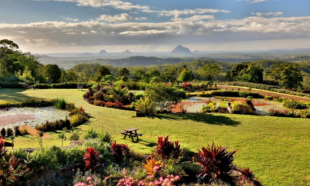 A view of the Glass House Mountains from Maleny Botanic Gardens