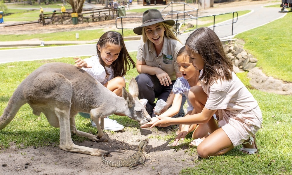 2 woman feeding kangaroos at Currumbin Wildlife Park Gold Coast