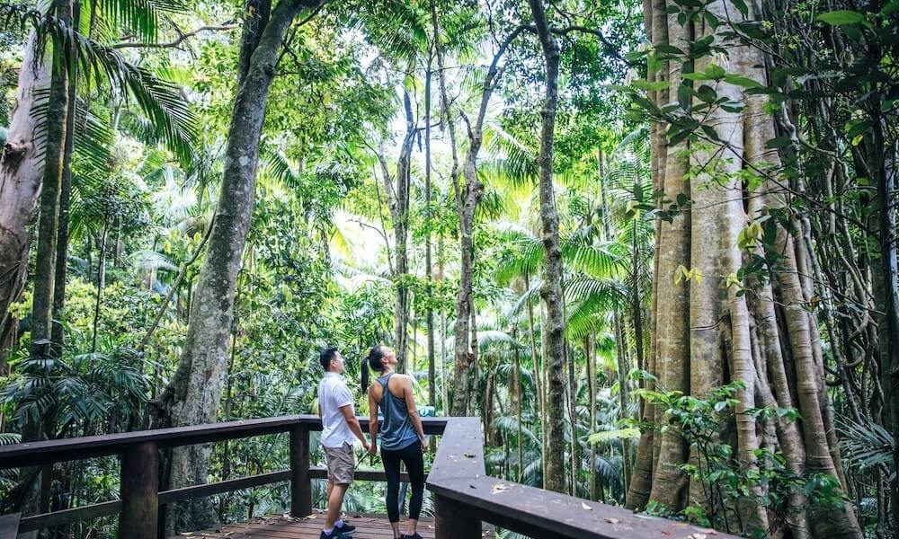 Couple take a walk along a boardwalk in the Gold Coast hinterland rainforest