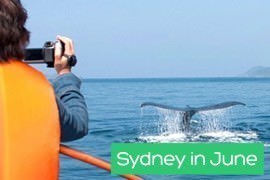Sydney in June