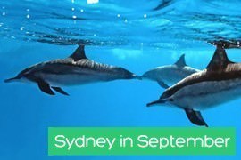 Sydney in September