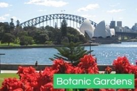 Sydney Botanic Gardens