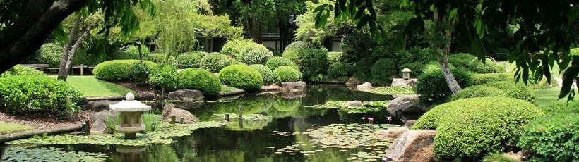 Mt Coot Tha Botanic Gardens