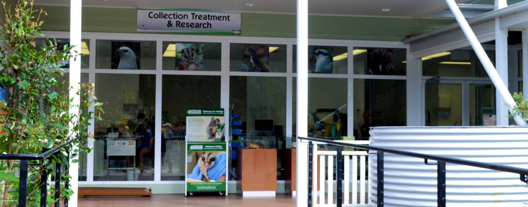 Currumbin Sanctuary Wildlife Hospital