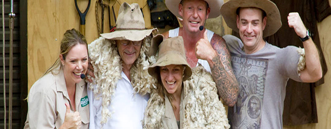 Currumbin Sheep Shearing Show