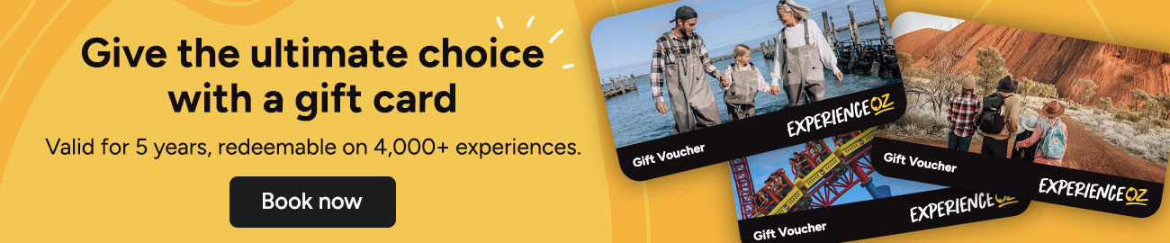 closeable promo baner