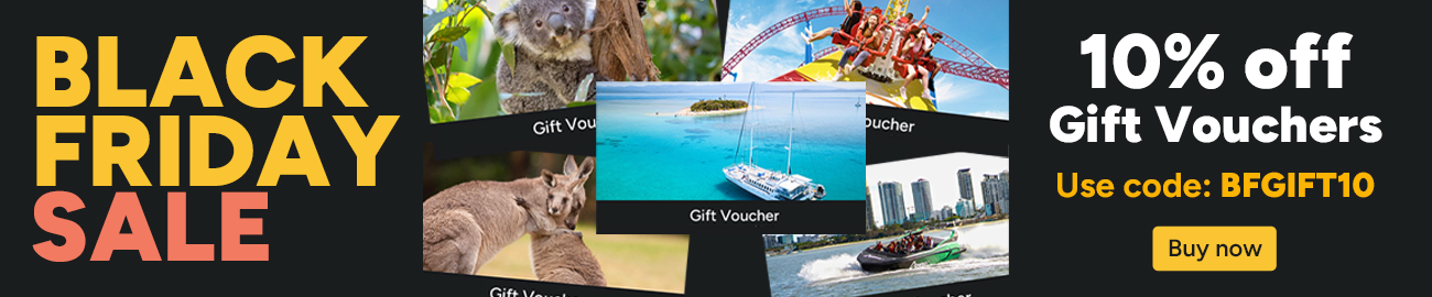 closeable promo baner