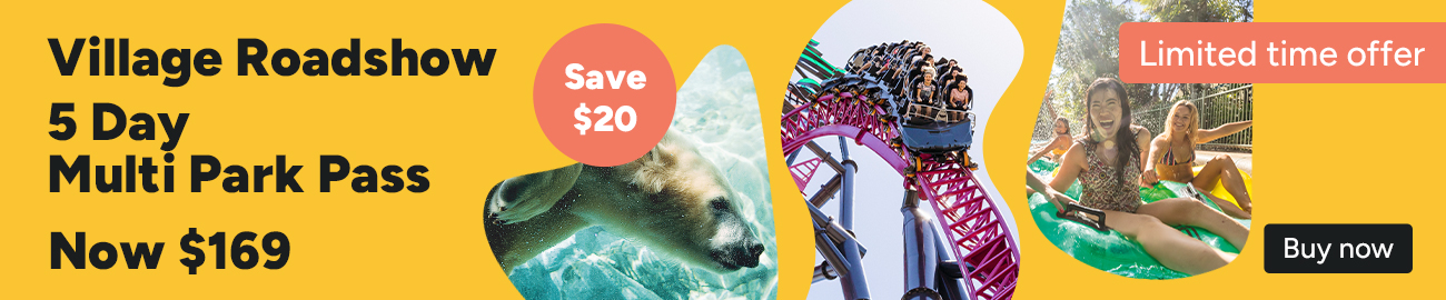 closeable promo baner