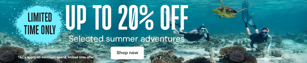 closeable promo baner