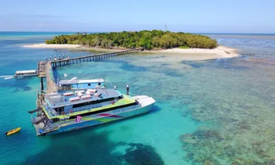 Reef & island cruises