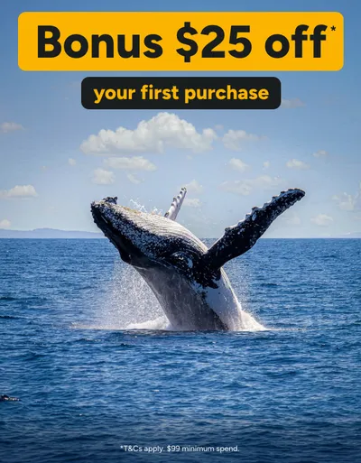 Get $25 off your first purchase*