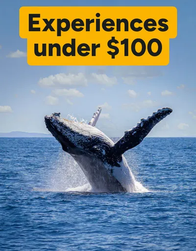 Experiences under $100