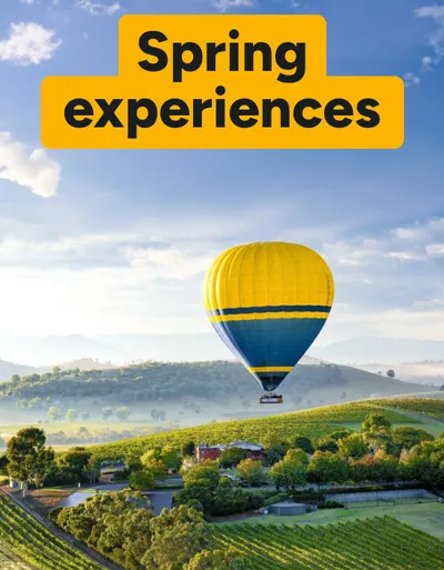 Spring experiences