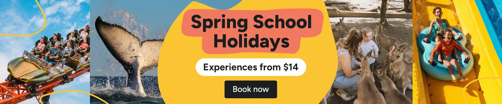 School holidays