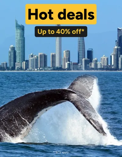 Hot deals