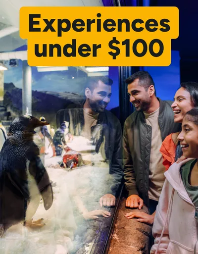 Experiences under $100