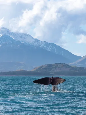 Kaikoura