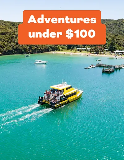 Explore under $100