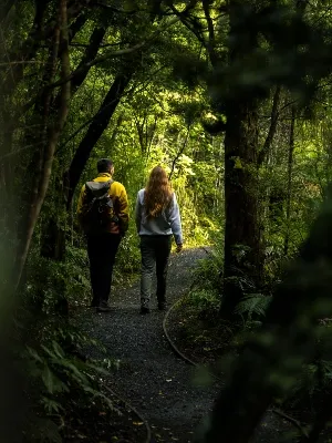 Stewart Island