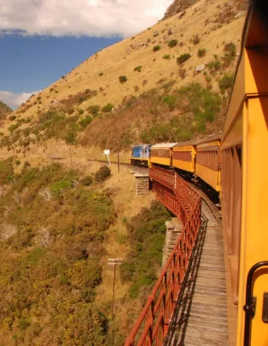 Top 10 things to do in Dunedin, NZ and surrounds