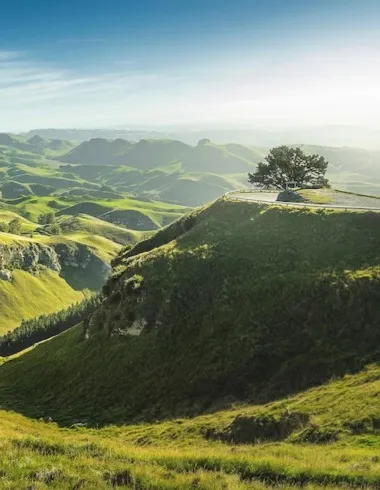 Top 10 things to do in Hawkes Bay