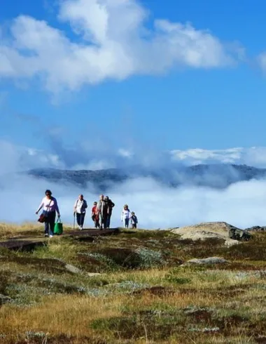 Fun facts about the Snowy Mountains
