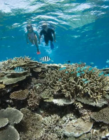 The best time to visit Lady Elliot Island