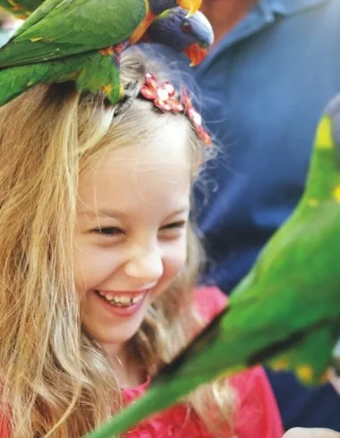 10 reasons why experiences are better than things