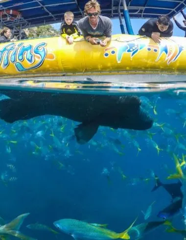 20 signs you've properly explored Queensland