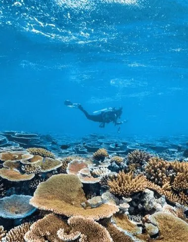 Best things to do in Port Douglas