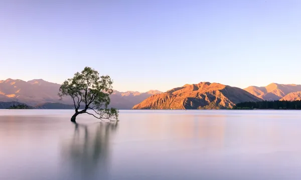Exploring Lake Wanaka, New Zealand