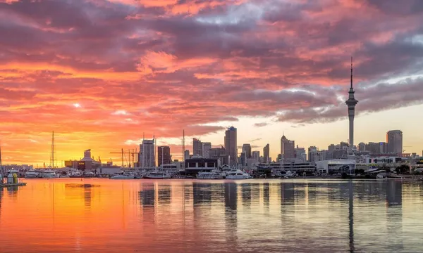 Auckland Adventures: Exploring New Zealands North Island