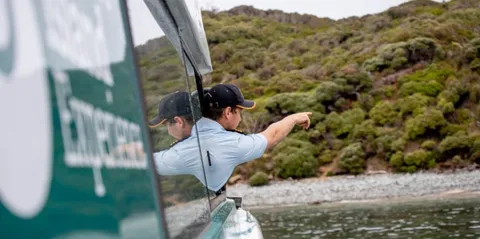 Cruising The Foveaux Strait