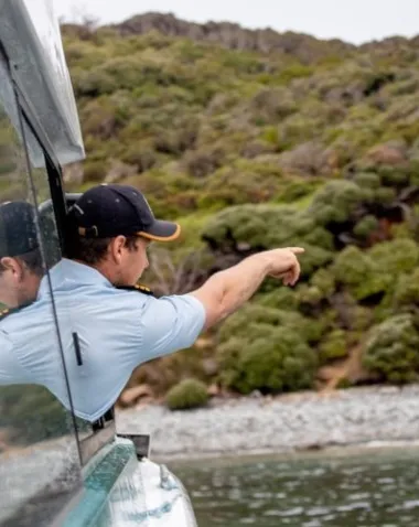 Cruising The Foveaux Strait