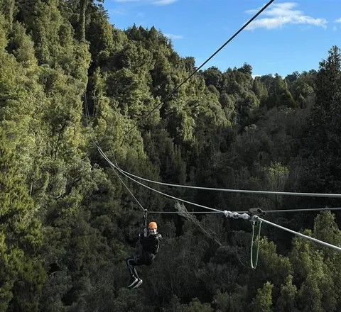 Local Lens: Ultimate Canopy Tour
