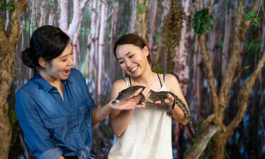 Crocosaurus Cove Darwin Tickets - Buy Now | Experience Oz