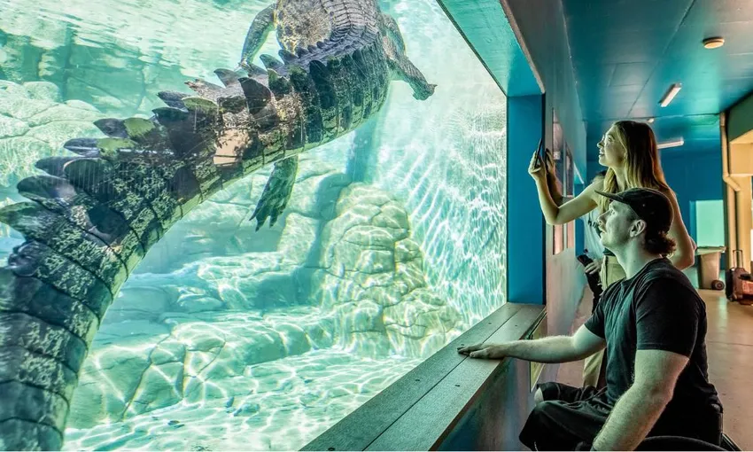 Crocosaurus Cove Darwin Tickets - Buy Now | Experience Oz