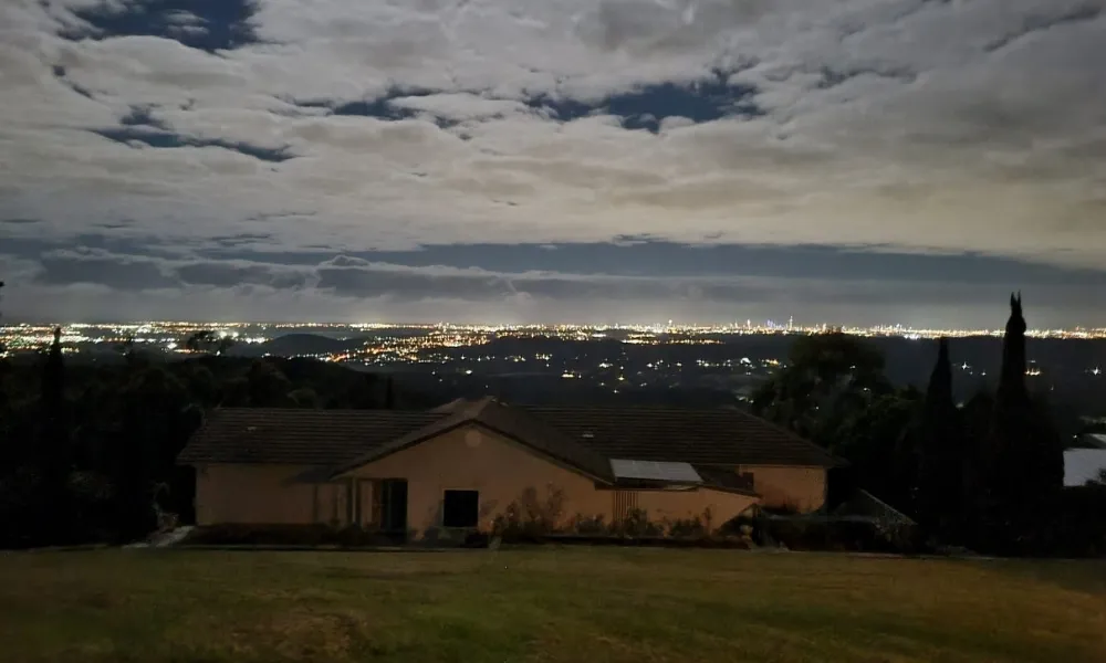 Gold Coast Glow Worms & Rainforest Night Tour | Experience Oz-18