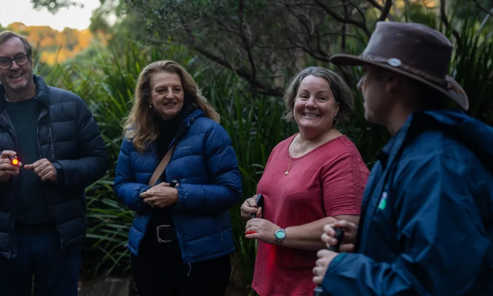 Gold Coast Glow Worms & Rainforest Night Tour | Experience Oz-5