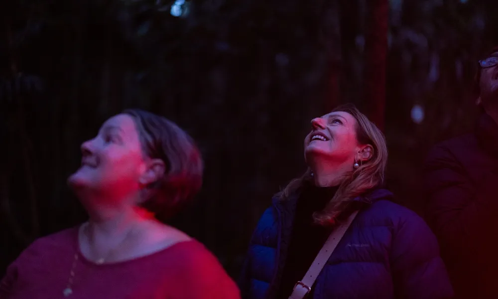 Gold Coast Glow Worms & Rainforest Night Tour | Experience Oz-7