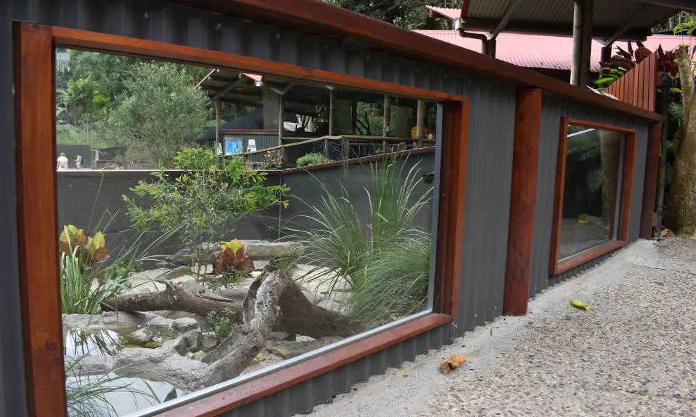 Kuranda Koala Gardens Tickets - Buy Now | Experience Oz-6