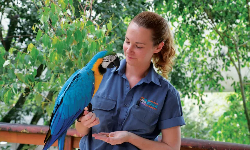 Birdworld Kuranda QLD Entry - Buy Tickets | Experience Oz