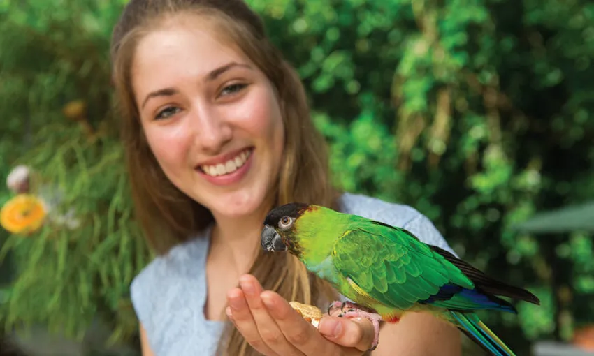 Birdworld Kuranda QLD Entry - Buy Tickets | Experience Oz