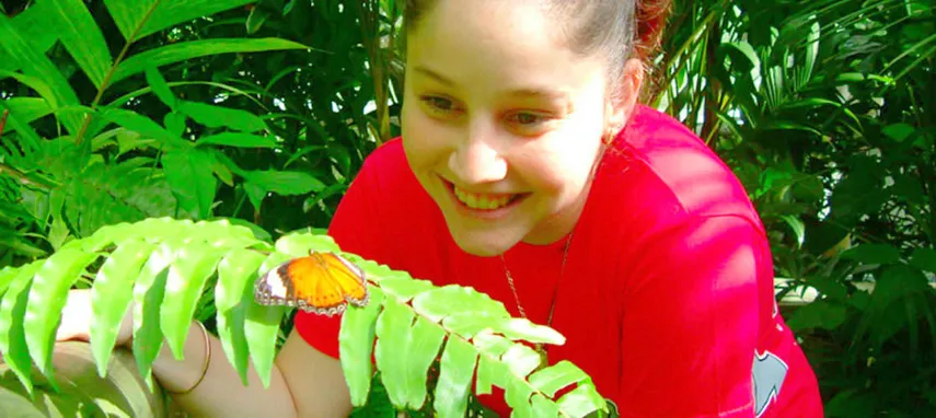 Kuranda Koala Gardens, Birdworld & Butterflies | Experience Oz