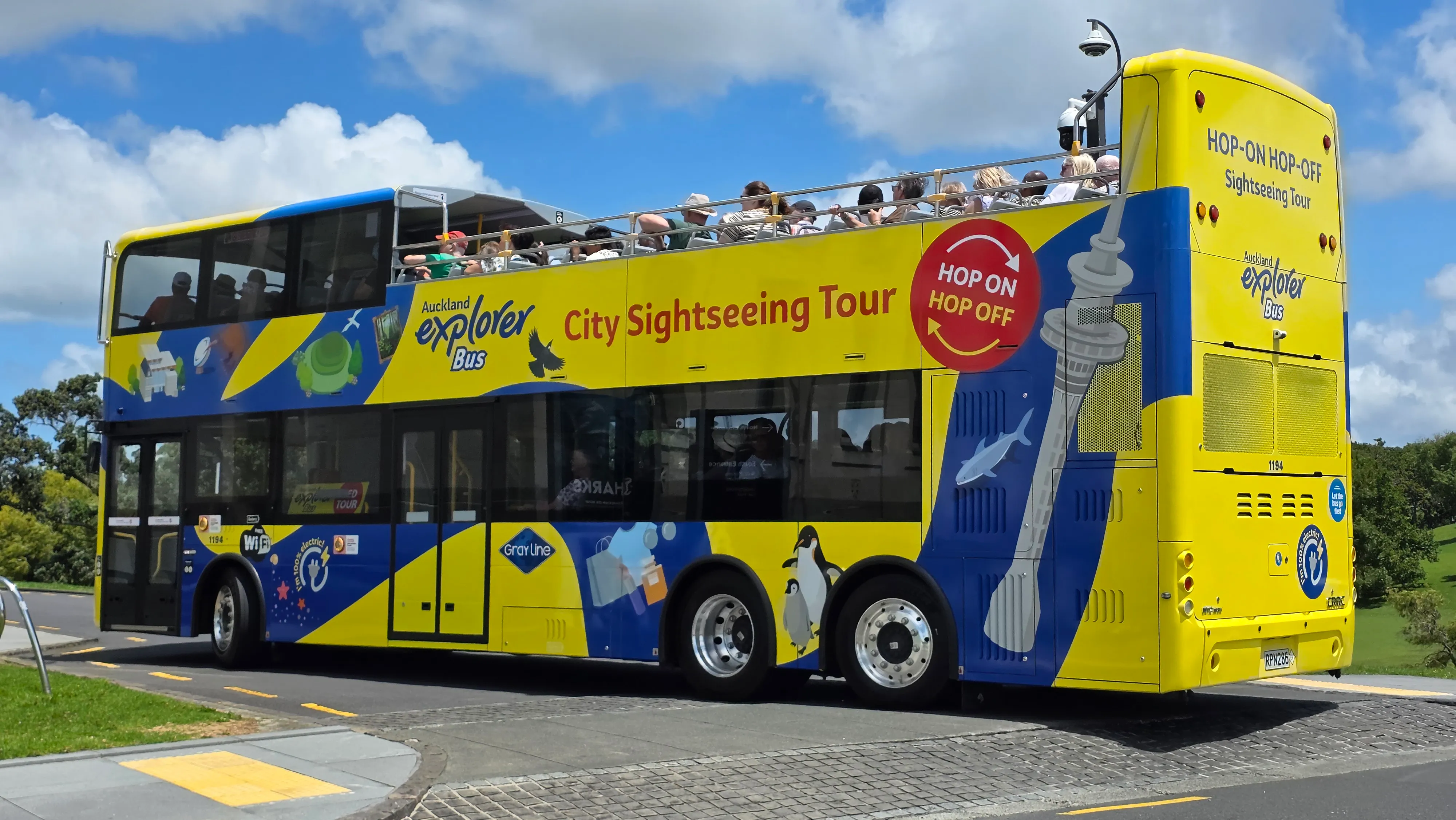 Auckland Hop On Hop Off Explorer Tour - Book Now | Experience Oz-6
