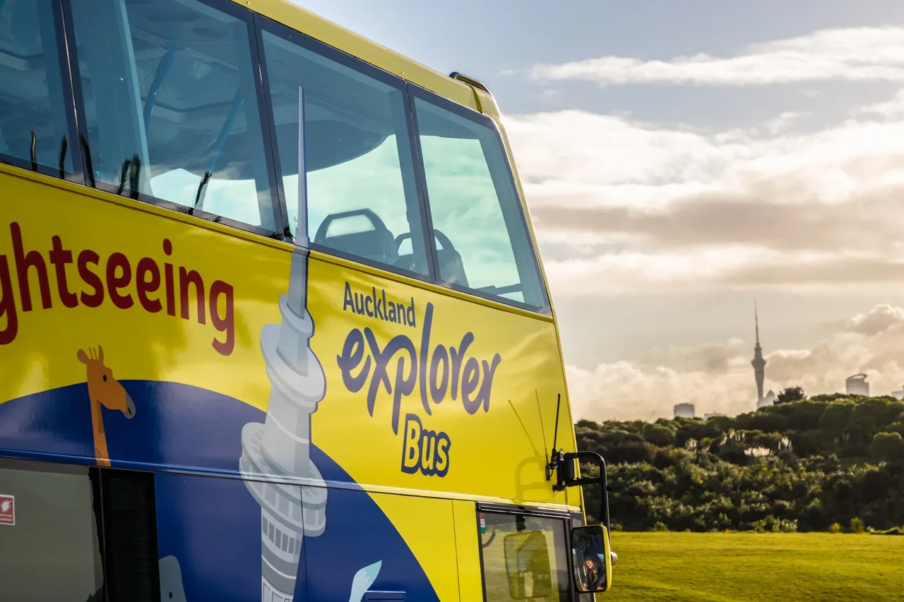 Auckland Hop On Hop Off Explorer Tour - Book Now | Experience Oz-7